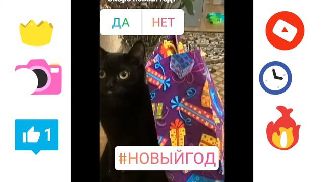 Слайд шоу домашних животных 2