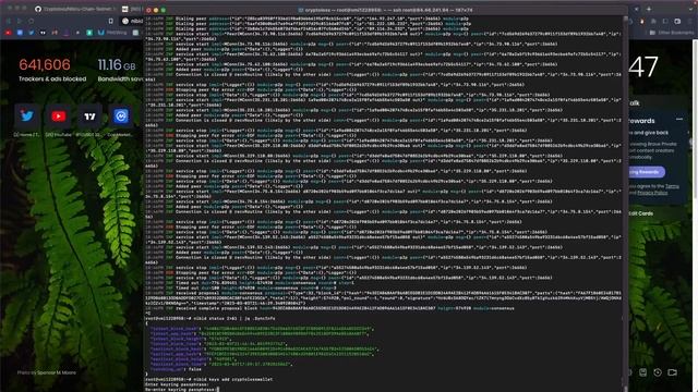 Node Kurarak Para Kazanma Fırsatı!! / Nibiru Chain Node Testnet Nasıl Kurulur? смотреть онлайн