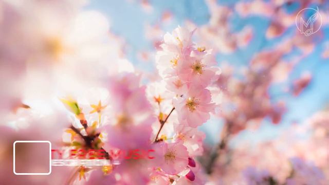BEST SPRING MUSIC COLLECTION 🌸 happy piano music смотреть онлайн