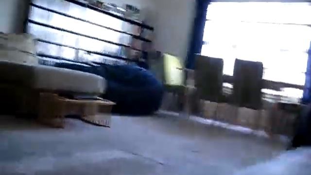 A special Pokémon gift arrives in style смотреть онлайн