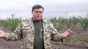 Где сажать смородину. Какое место на участке отвести под смородину.