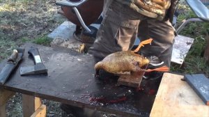 После охоты.  Дикая утка, как ощипать, опалить, разделать. Простая инструкция для тех кто вперые...