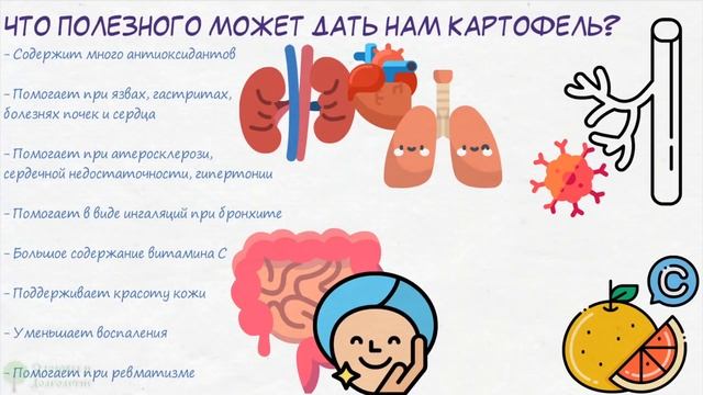 В картошке обнаружили вещество, радикально влияющее на… Что будет, если картофель есть каждый день смотреть онлайн