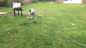 Washing machine destruction