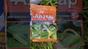 Обработка сада по «розовому конусу»🌸