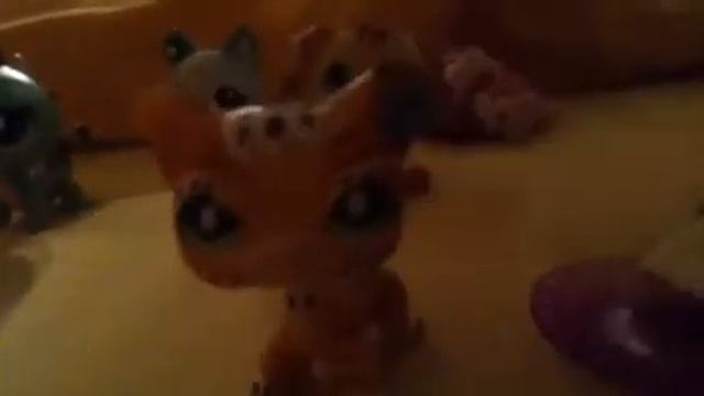 С Лексой фиг знает какой выпуск и тру ляля ночное шоу смотреть онлайн