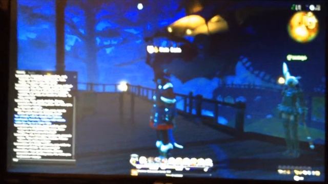 Final Fantasy XIV GTX 680 Directx Crash смотреть онлайн
