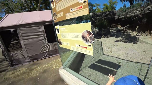 VLOG: В ЗООПАРК САКРАМЕНТО ВМЕСТЕ С СЫНОМ. Sacramento Zoo смотреть онлайн
