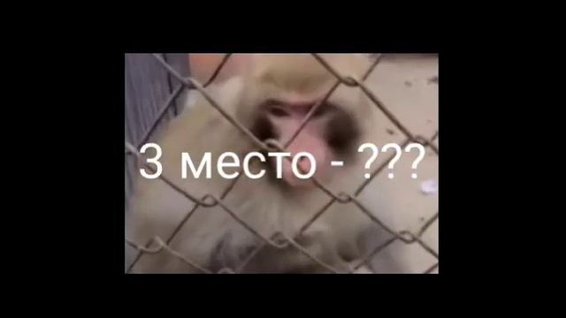 топ 3 трюка для новичка бемеикс BMX шок трюки стониланд дрочка инкогнито смотреть онлайн