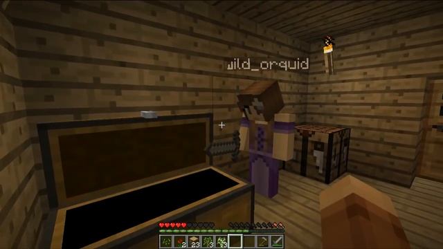 Minecraft Let's Play: MINECRAFT FAMILY 1.9