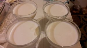 2ч. ПРОСТЕЙШЕЕ молочное суфле. Агар-агар