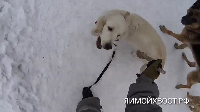 Туалет, выдержка, будка, Луна день 5й. смотреть онлайн