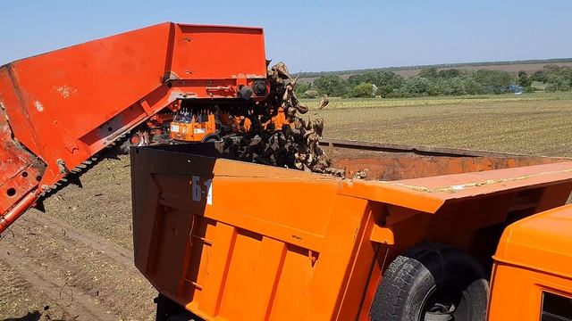 Уборка сах/свеклы 2020 смотреть онлайн
