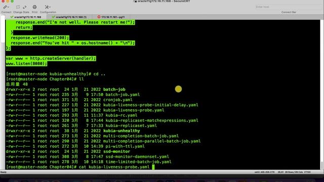 029 livenessProbe是什么？它有什么作用？如何使用它？ смотреть онлайн