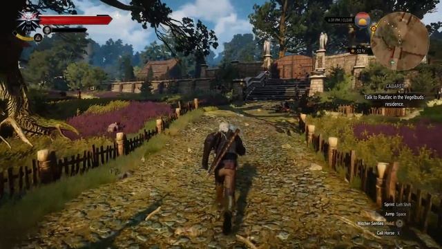 The Witcher 3 Wild Hunt Walkthrough Gameplay Part 54 - Placards and Priscilla! смотреть онлайн
