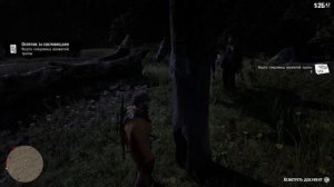 Карта сокровищ ядовитой тропы 1 Red Dead Redemption 2