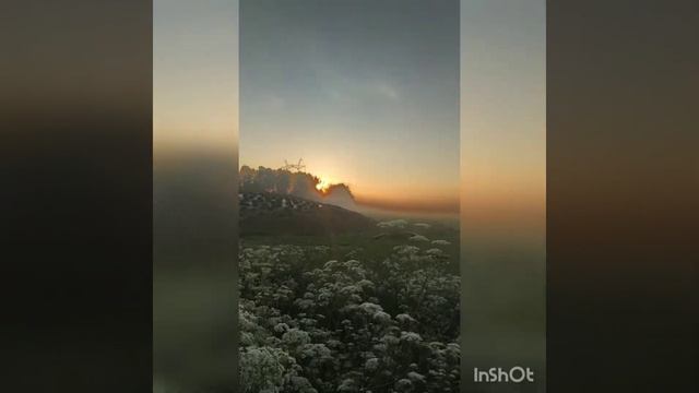 Ловец солнца смотреть онлайн