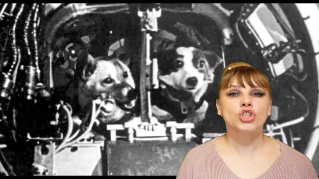 А ты знаешь? Когда начинает биться сердце у ЧЕЛОВЕКА? смотреть онлайн