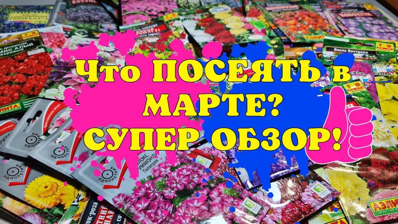 ЧТО ПОСЕЯТЬ в МАРТЕ? САМЫЕ ЛУЧШИЕ ЦВЕТЫ и НОВИНКИ! БОЛЬШОЙ ОБЗОР! смотреть онлайн