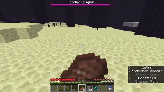 Beating The Ender Dragon With Bare Minimum Items | Waiting for Gamerfleet to play with me... смотреть онлайн
