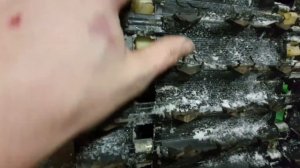 Ремонт гусеницы на Dingo/ Динго Т125. Замена гусянки.