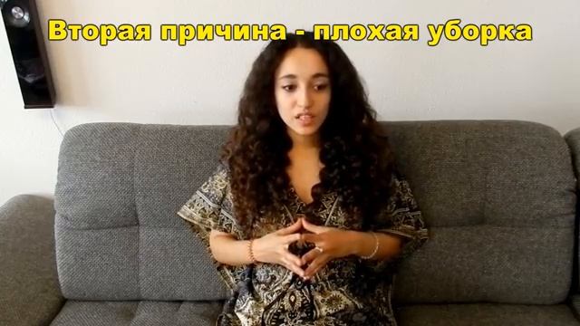 • • • Пахнут ли свинки или откуда неприятный запах? • • • смотреть онлайн