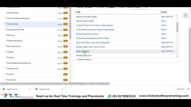 03.Complete Primary Ledger Options in Oracle Fusion Financials Cloud Applications | TrioTech смотреть онлайн