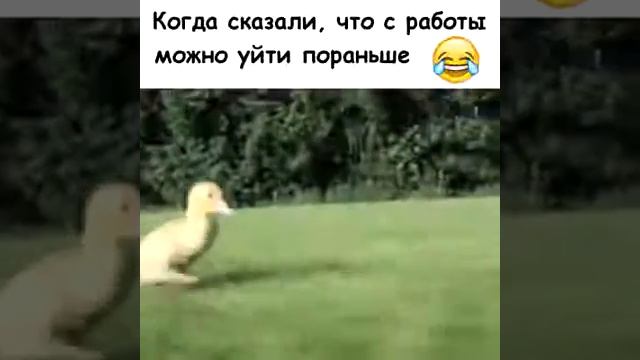 Когда сказали что с работы можно уйти по раньше смотреть онлайн