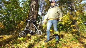 Shulz против Strida: три года и три дня. Обзор, сравнение, преимущества и недостатки