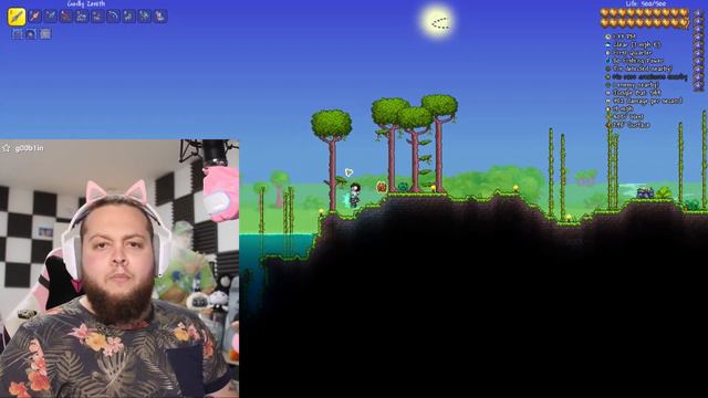 Terraria Jungle Vibe with StanleyMOV смотреть онлайн