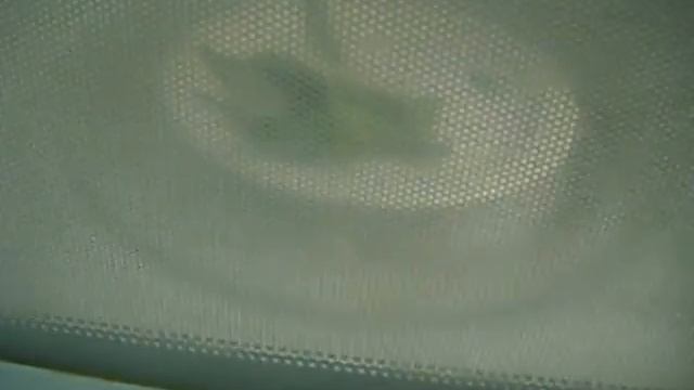 Lets Microwave: Random Vegitation 1 смотреть онлайн