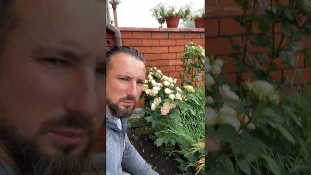 Мой Любимый Акрополис смотреть онлайн
