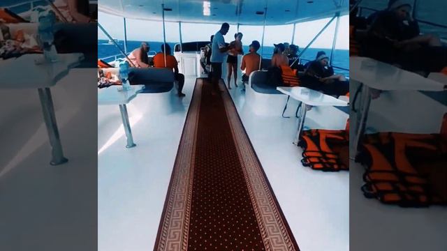 экскурсия яхта Рас Мохаммед. excursion yacht Ras Mohamed and white island смотреть онлайн