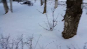 Брачное чтиво