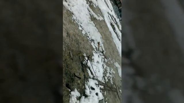 challenge 72.часа без еды!!😵 смотреть онлайн