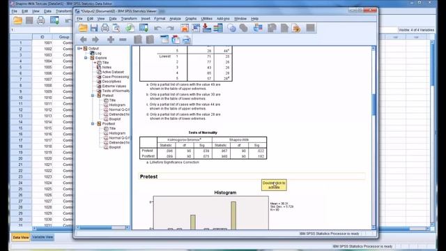 Conducting a Shapiro-Wilk Normality Test in SPSS смотреть онлайн