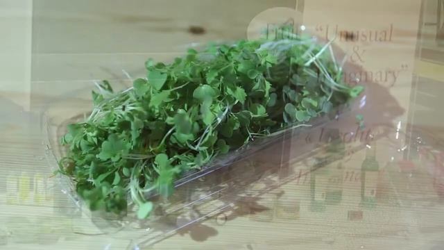 2B fresh RU.mp4 смотреть онлайн