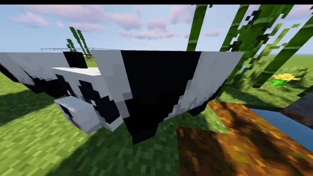 Giant Panda Endangerment | Biology Capstone Project смотреть онлайн