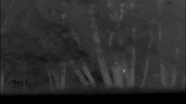 Pulsar Axion XM30S and red deers смотреть онлайн