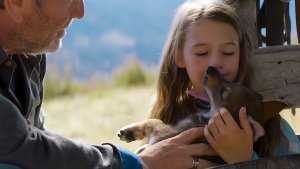 Мой волк 2021 Однажды на прогулке пастух дарит девочке щенка по кличке Секрет