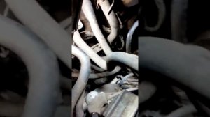 Как снять стартер на Renault kangoo 1.5dci 2006