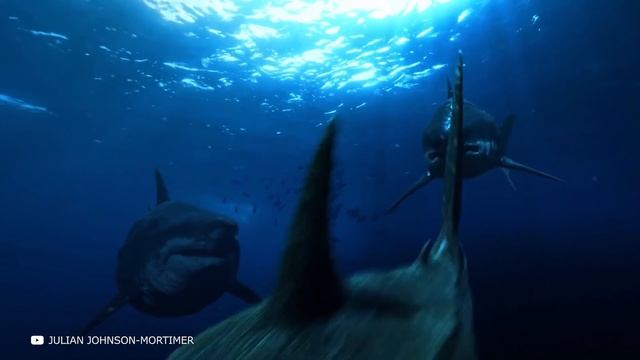 Он Нашел Мегалодона - Случаи, Когда Мегалодона Засняли на Камеру смотреть онлайн