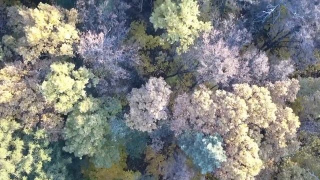 @fly_video__rf DJI MAVIC PRO смотреть онлайн