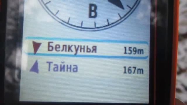 Тайна и Белкунья гоняют косуль/лосей/ смотреть онлайн