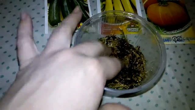 Замачивание семян в мае, всё очень просто, кабачки, патиссоны и тыквы, готовимся к дачному сезону смотреть онлайн