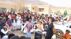 базми   авгони    туй  7     2        2022