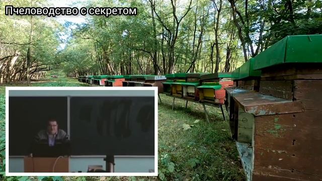 Почему в семьях с молодыми матками меньше клеща. смотреть онлайн