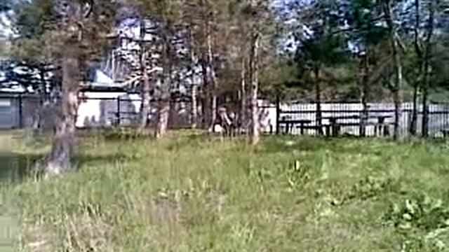 коса видео дневник 1.mp4 смотреть онлайн