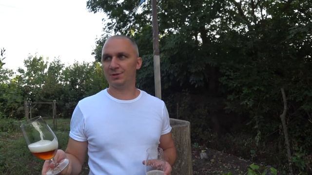 Дрожжи для бельгийского пива, какие выбрать?Как сбродят? смотреть онлайн