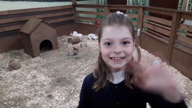 Контактный зоопарк Страна Енотия Art Mall смотреть онлайн
